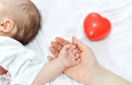 Adoption Trends