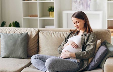 How Does the Adoption Process Work in Michigan?